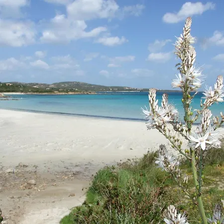 Casa Tonina By Interhome * Olbia