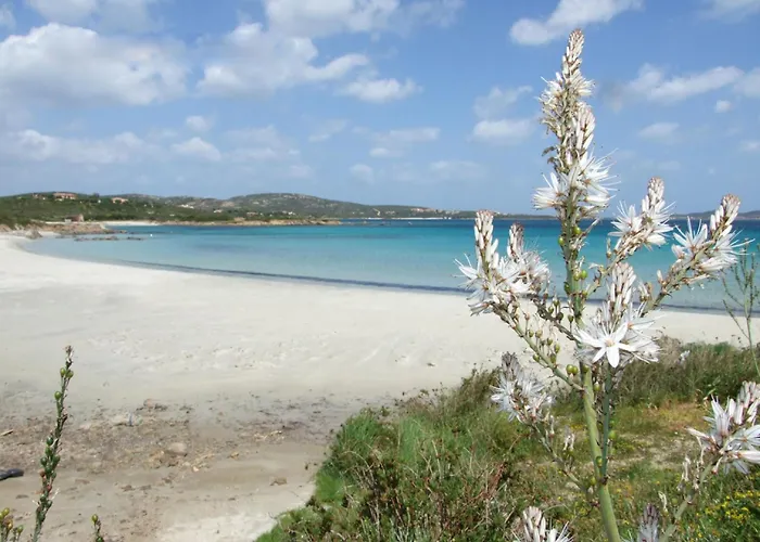 Casa Tonina By Interhome * Olbia